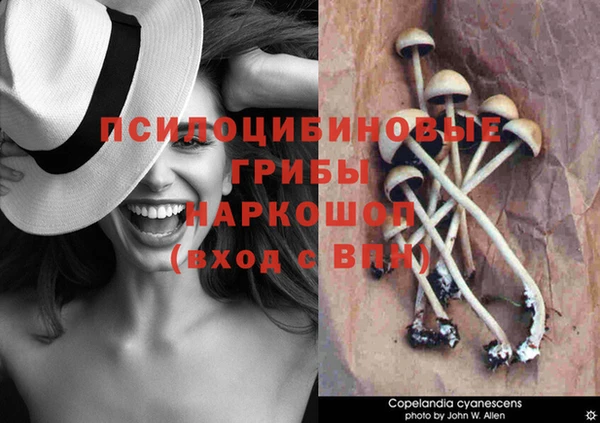 героин Бородино