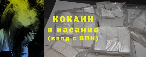 бошки Бронницы