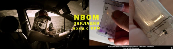 прущие грибы Богданович