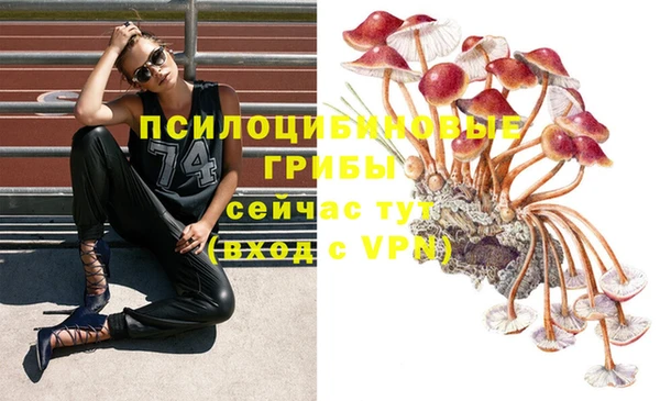 бошки Бронницы