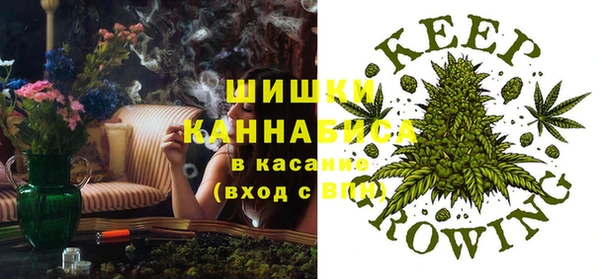 бошки Бронницы