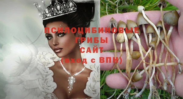 бошки Бронницы