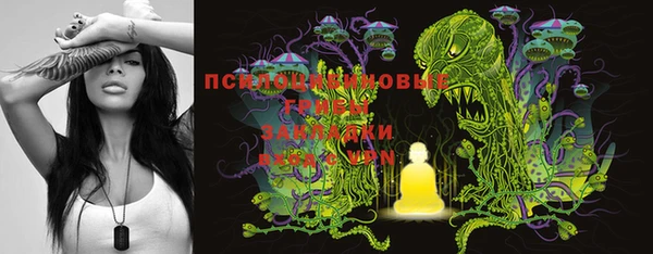 героин Бородино
